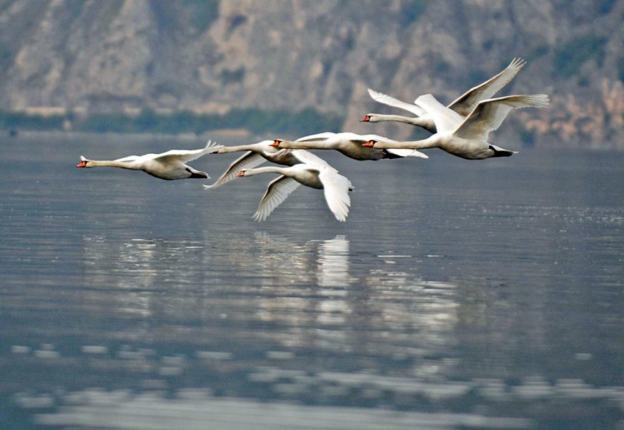 Castello Di Zorzino Iseo Lake ريفا ديل سولتو المظهر الخارجي الصورة